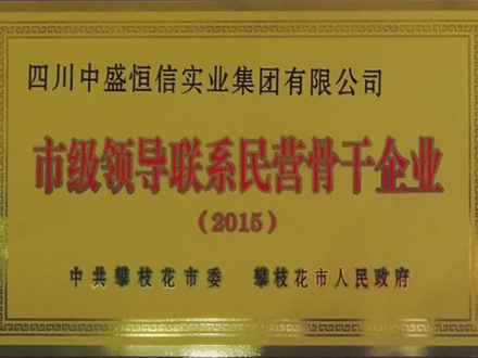 2015-市級領導聯(lián)系民營骨干企業(yè)